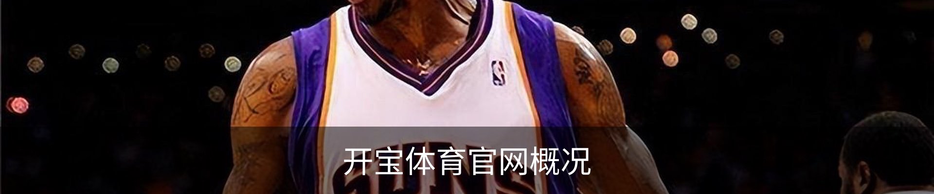 开宝体育官网概况