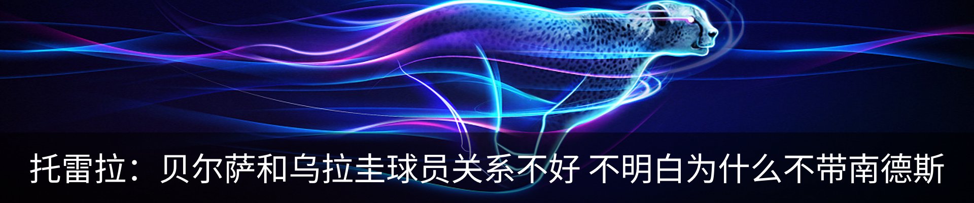 新闻动态