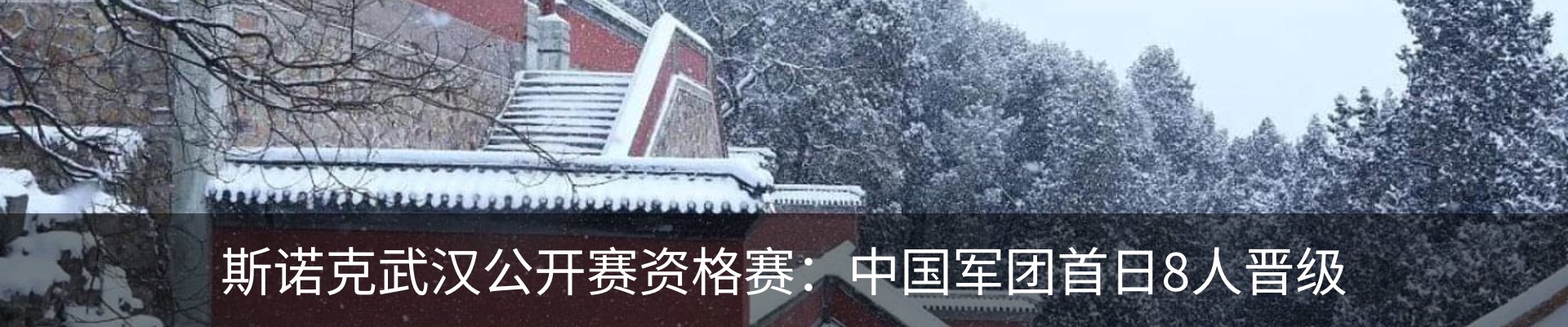 新闻动态